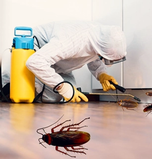 ⁠Pest Control Services